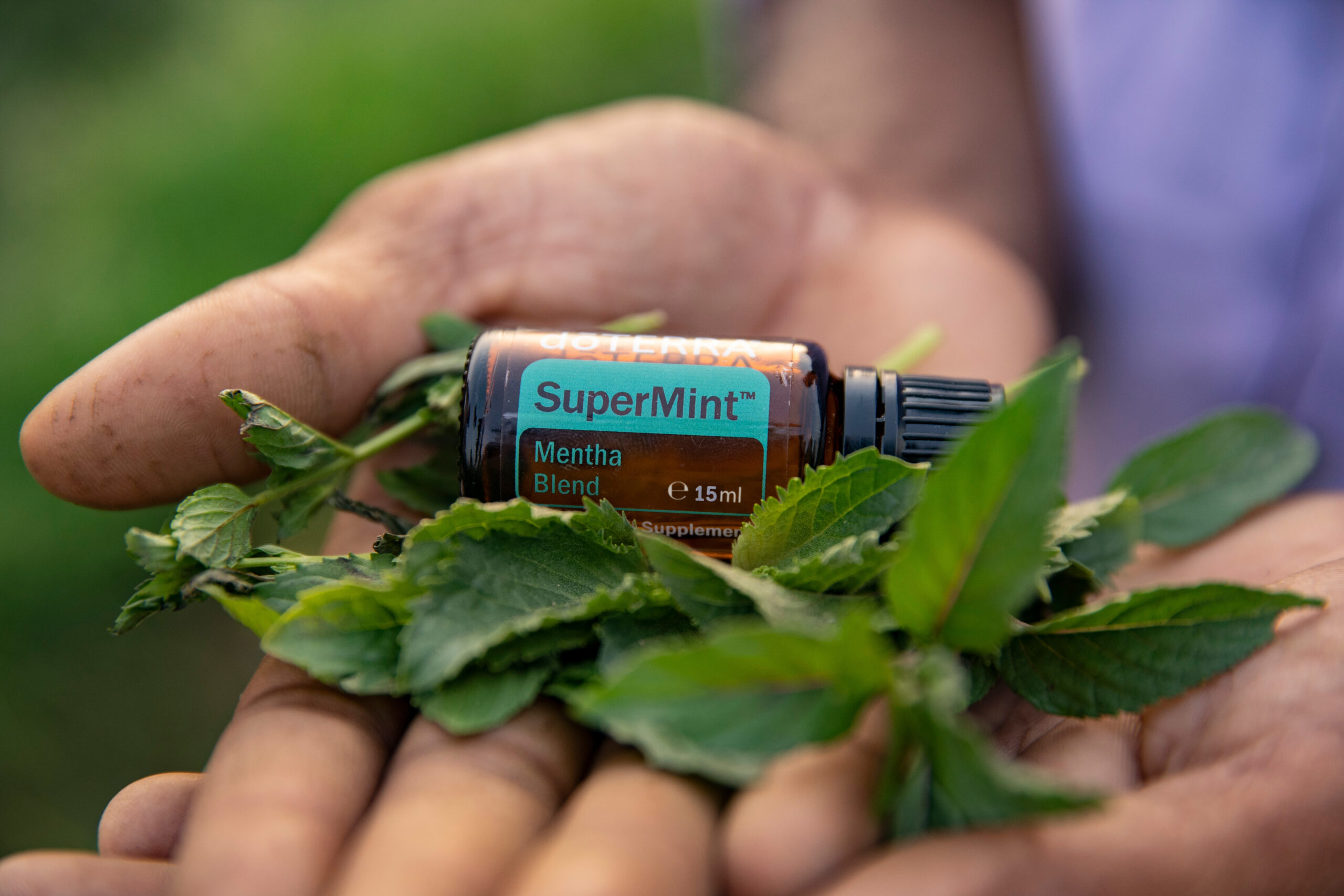 supermint eu botanical 2 scaled - Zapomniana i naturalna metoda na odporność oraz ból